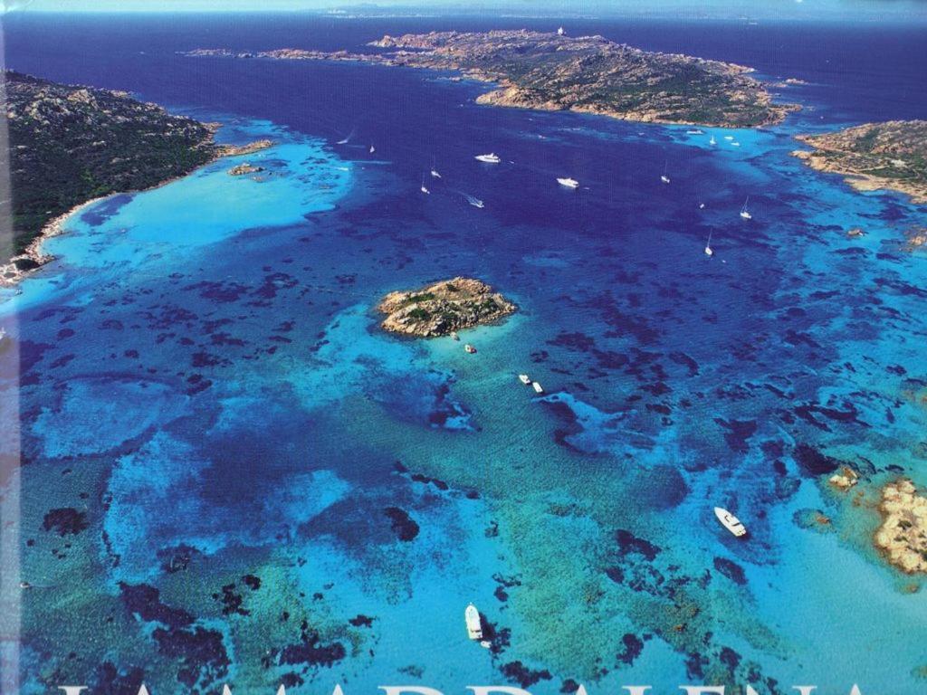 Milu - Milu Holidays